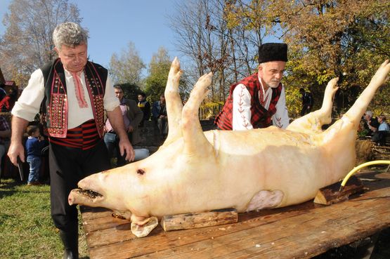 300 кг прасе откри сезона на суджука