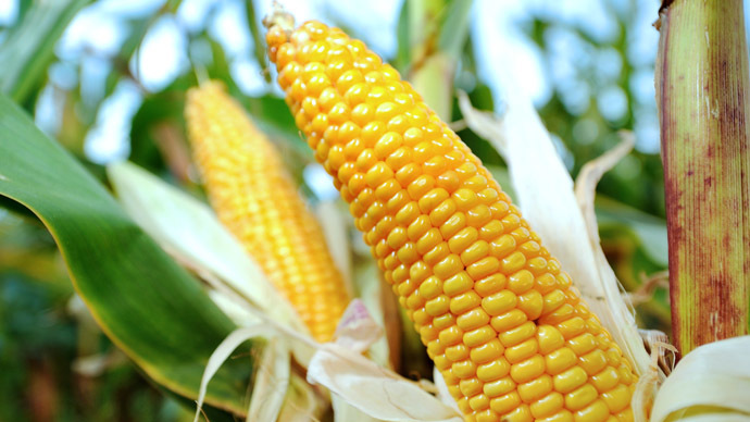 Разрешиха ГМО-храните в страните от ЕС