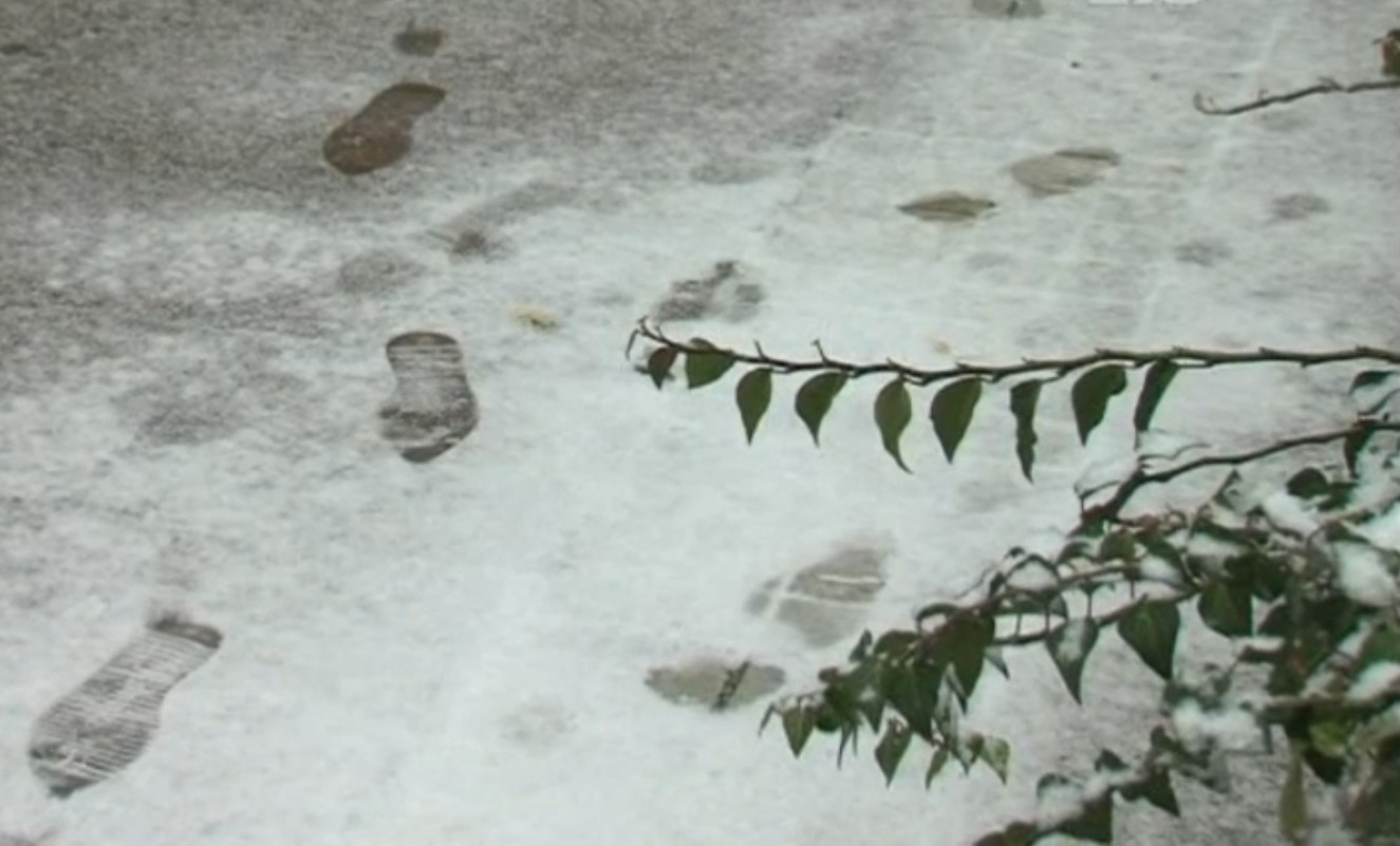 Първи сняг заваля в Югозападна България (ВИДЕО)