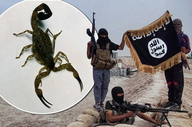 &quot;Ислямска държава&quot; изобрети бомби със скорпиони!