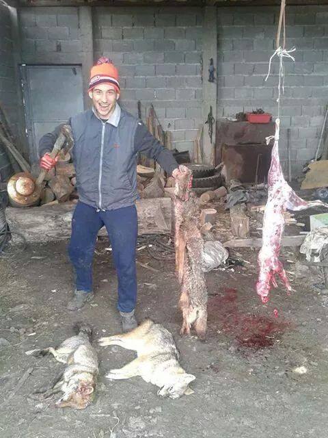 Мъж от Кюстендил убива и дере бездомни кучета (18+)