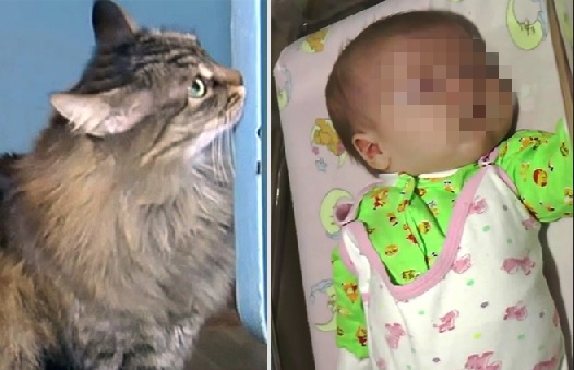 Бездомна котка спаси бебе от ужасна смърт