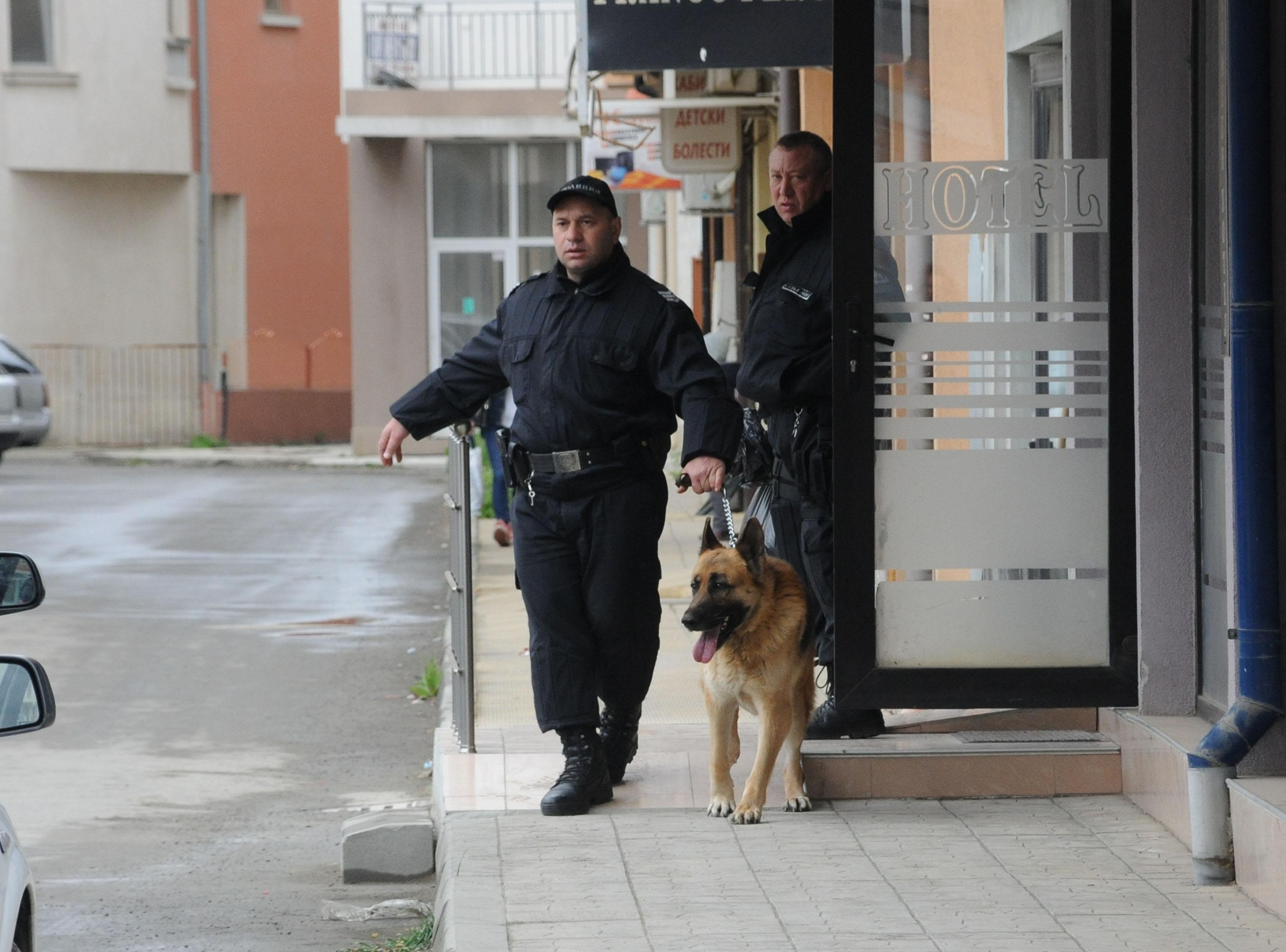 Фарс: Полицейското куче, душило за тялото на убитата Алекс, никога не било търсило човек