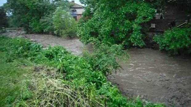 Залесяват брега на опасна река в Берковица