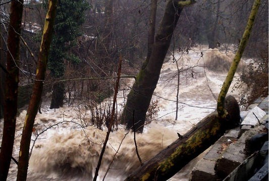 Кметът на Аврен пред БЛИЦ: Реките Провадийска и Камчия преляха, евакуираме три села