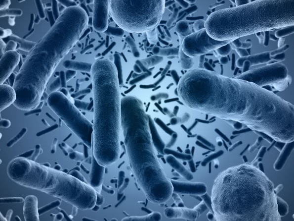 Откриха бактерията, която убива американците 