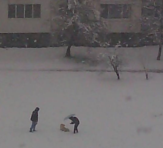 500 работници от „Чистота” борят снега в Пловдив