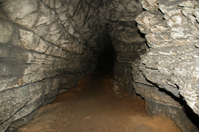 Нова пещера с подводна река в &quot;Тупаров чарк&quot; 