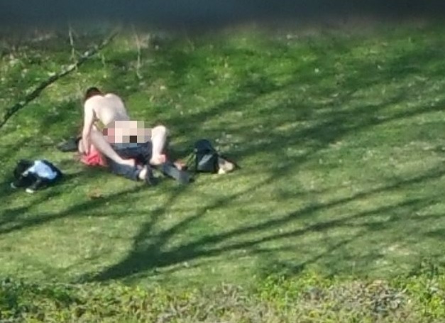 Идиоти правят секс в парка пред стотици (ВИДЕО 18+)