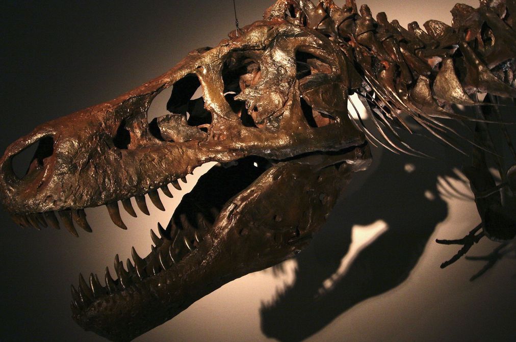 Как цунами с височина 1,5 км уби динозаврите