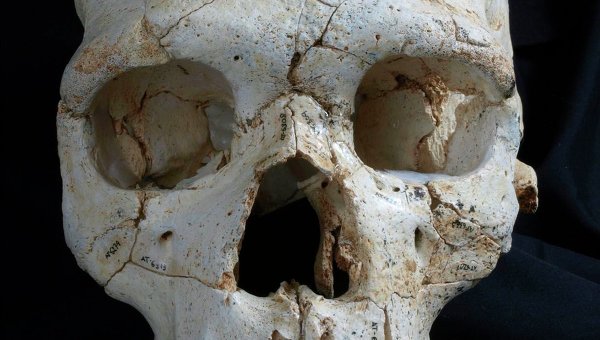 Археолози със сензационно откритие в пещера край Йерусалим