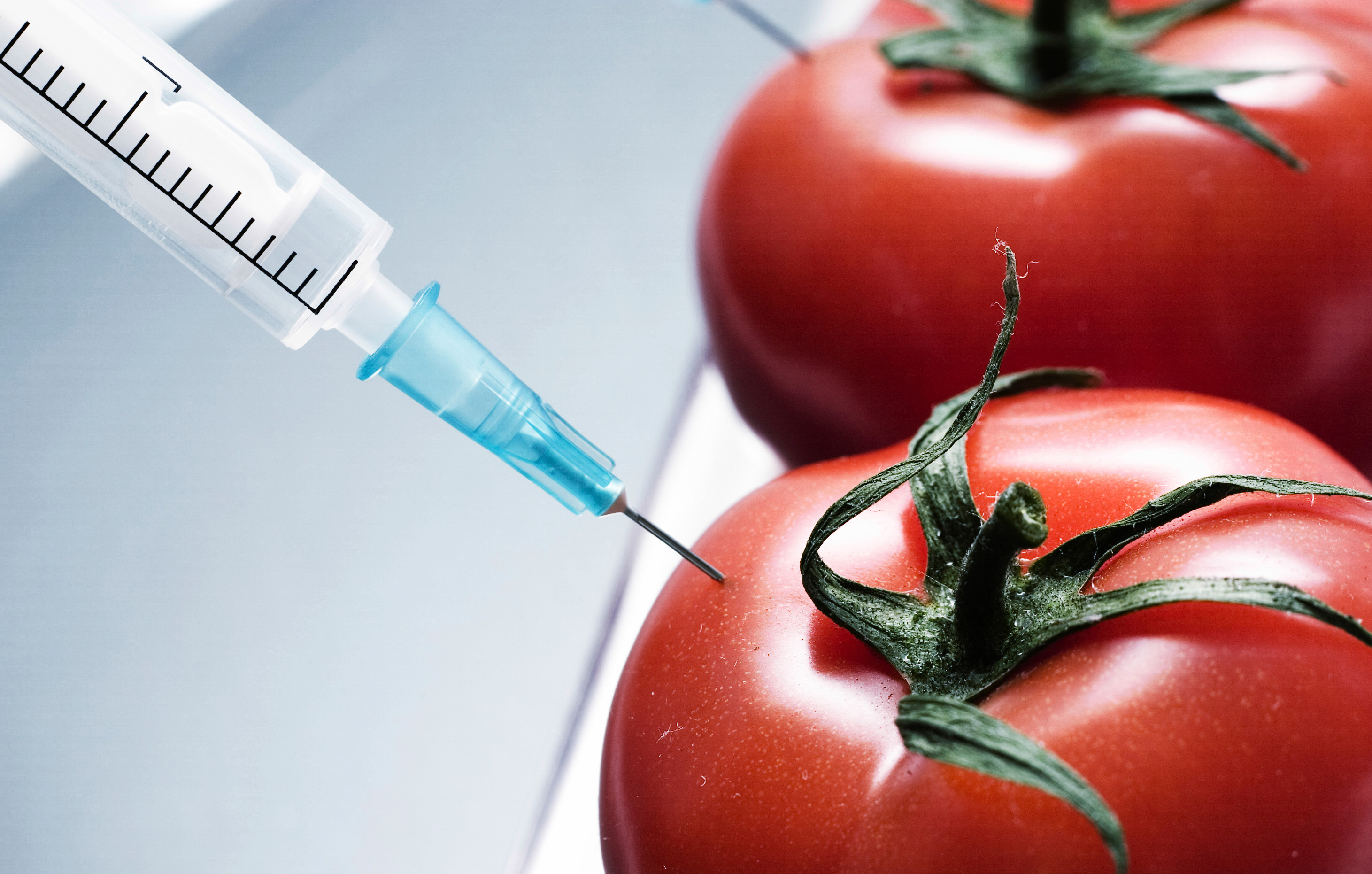 ЕП не позволява на страните сами да забраняват ГМО