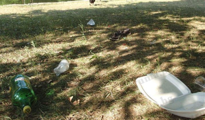 Парк Бачиново заприлича на клоака след 8-часов ромски пикник