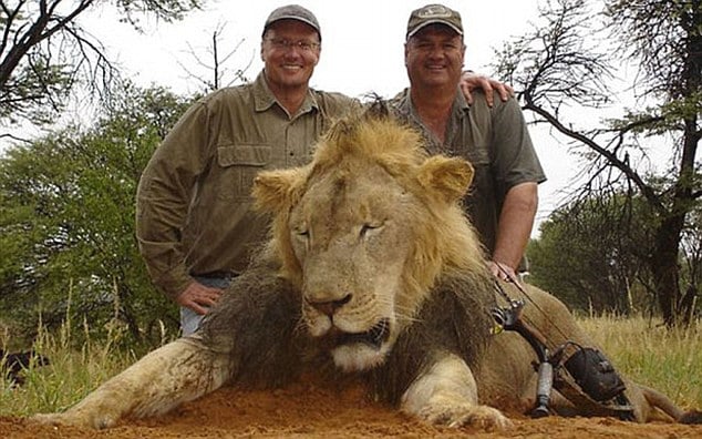 Цял свят намрази злия зъболекар, който уби лъва Сесил