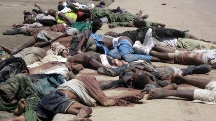 „Боко харам“ убиха 13 цивилни