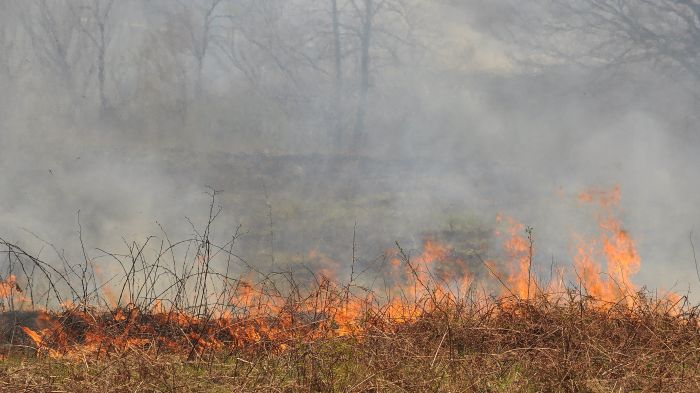 Голям пожар застрашава село край Шабла