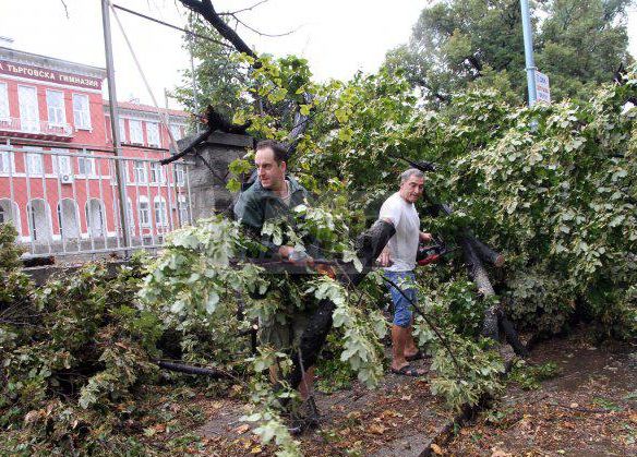 И жертва в бурята: Дърво падна и уби човек в Пловдив 