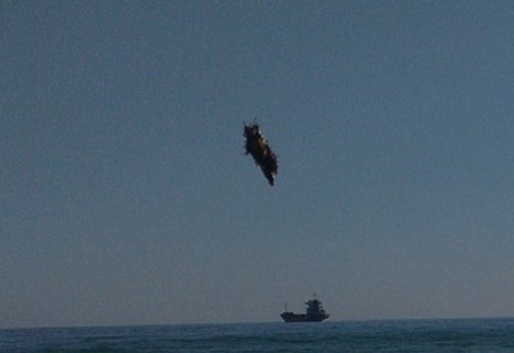 Летовници заснеха странно същество да прелита над плажа във Варна (СНИМКИ)