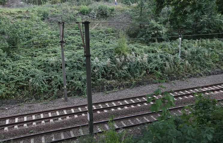 Извънредно: Влак дерайлира край Русе