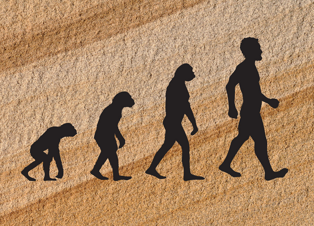 Човешкото тяло е претърпяло еволюция поне четири пъти за 4 милиона години