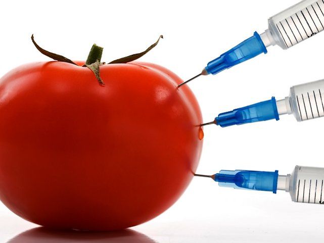 Страните в ЕС няма да могат да забраняват ГМО