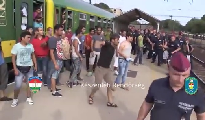 Как бежанците се изплюха в лицето на Унгария от благодарност (ВИДЕО)