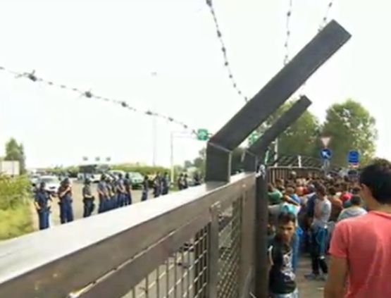 Ексклузивно: Сблъсъци и хаос на сръбско-унгарската граница, хиляди напират към България откъм Одрин (СНИМКИ/ВИДЕО)