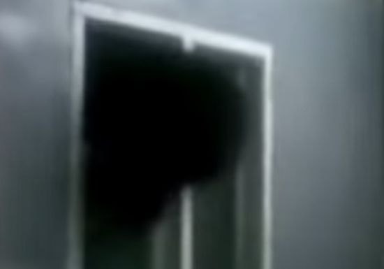 Мечок-крадец се заклещи в малко прозорче (ВИДЕО)