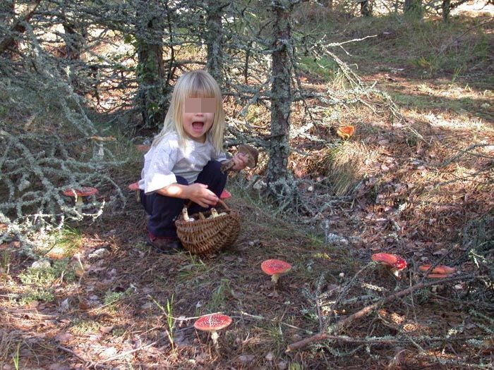 6-годишно дете се загуби в гората, тръгнало за гъби