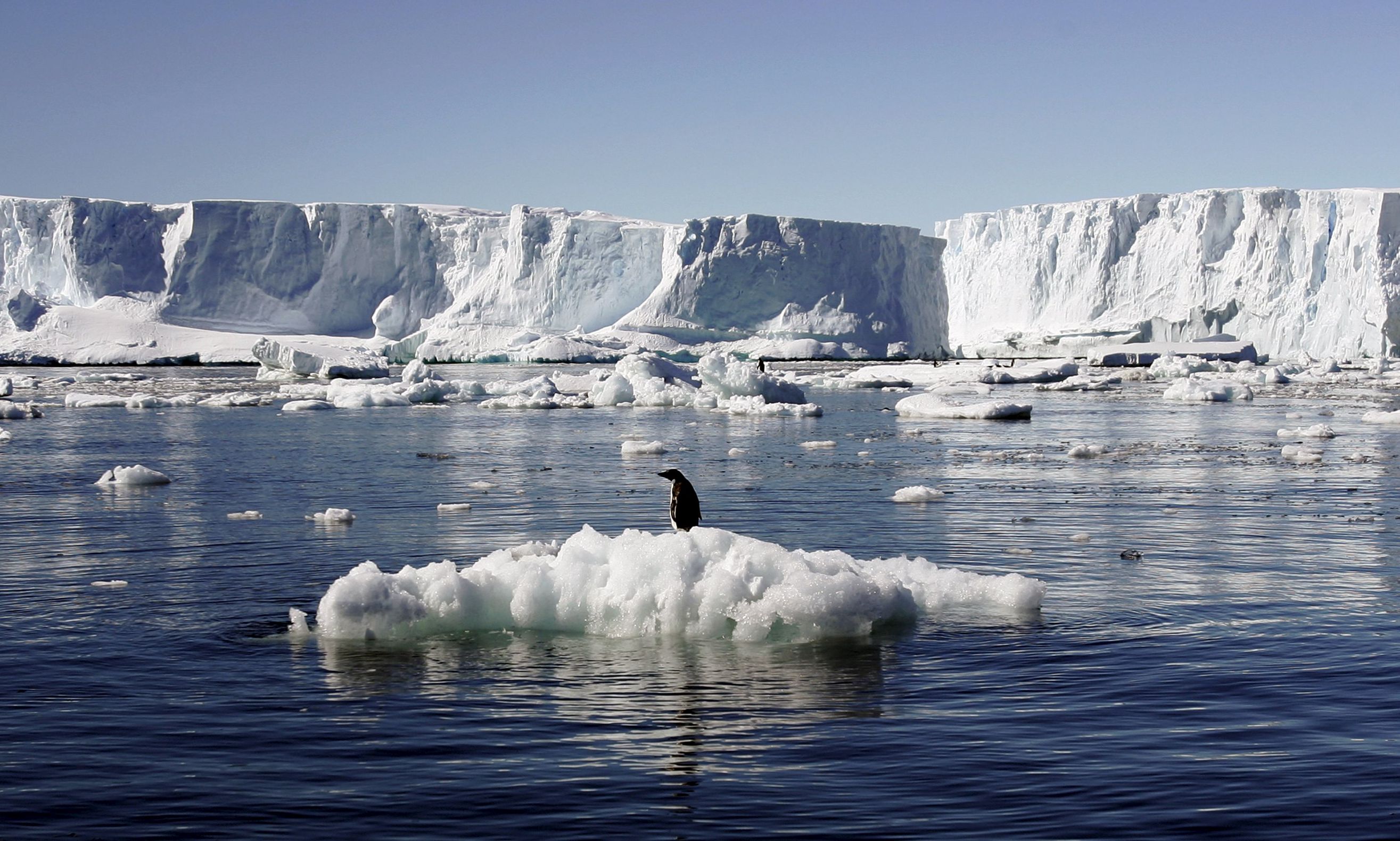 Шокиращ обрат! Ледът на Антарктида разби тезата за глобалното затопляне! 