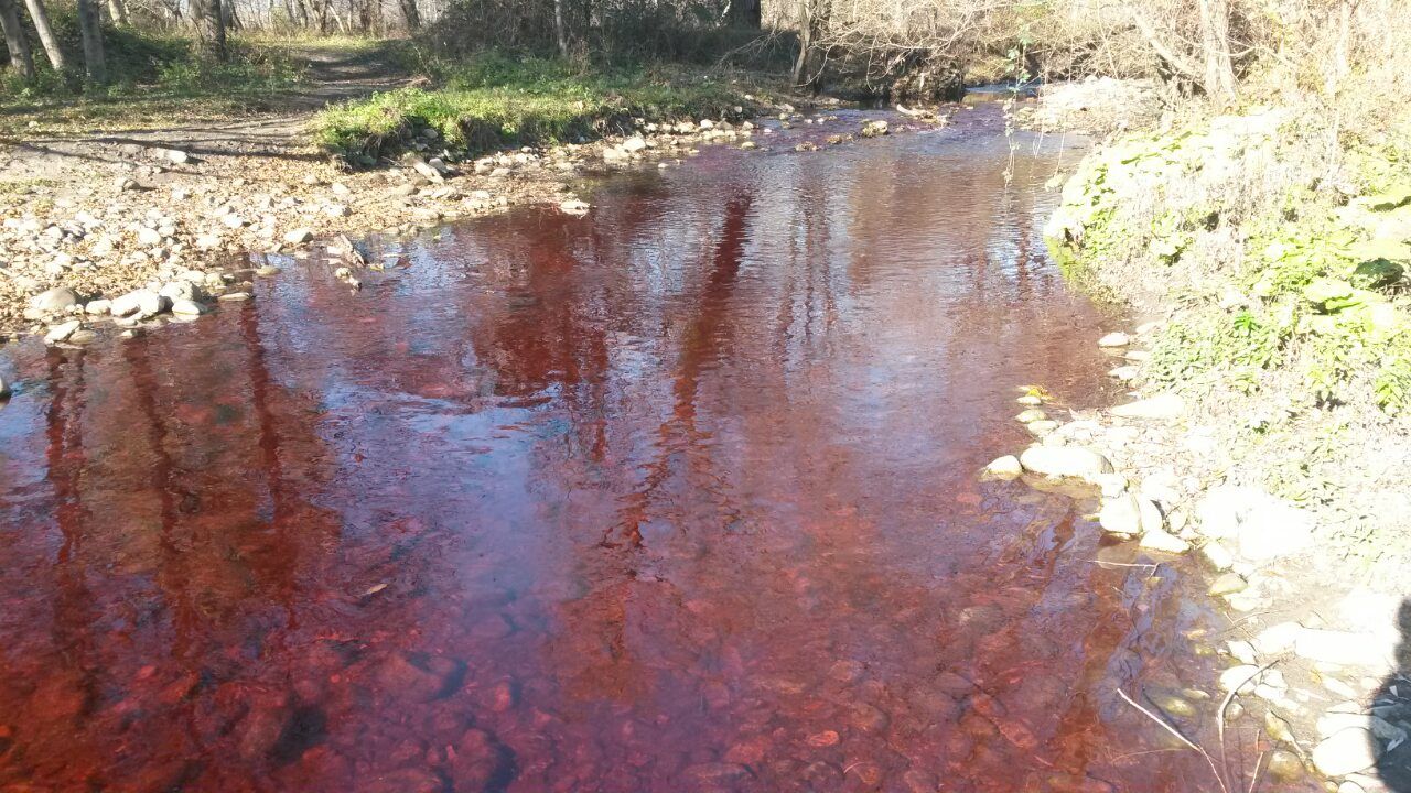 Вижте какво се случва с потопената църква в Жребчево (СНИМКИ)