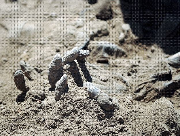 Масов гроб на 120 жертви на &quot;Ислямска държава&quot; намерен в Ирак 