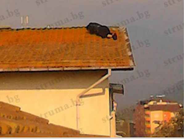 Обрат на драмата в Сандански! Влюбеният самоубиец заспа на покрива (СНИМКИ)