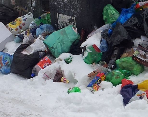 Срамна мръсотия! Варна прелива от боклуци (СНИМКИ)