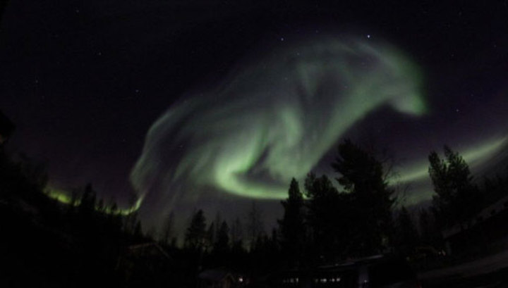 В нощното небе над Швеция се появи сияен вълк (СНИМКА)