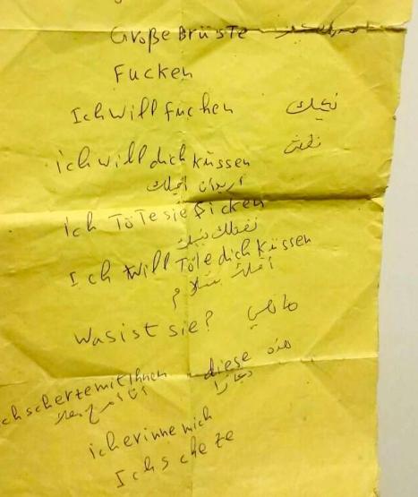 Самообразование: Изнасилвачите от Кьолн написали на бележки как е &quot;Искам да те чукам!&quot; на немски 