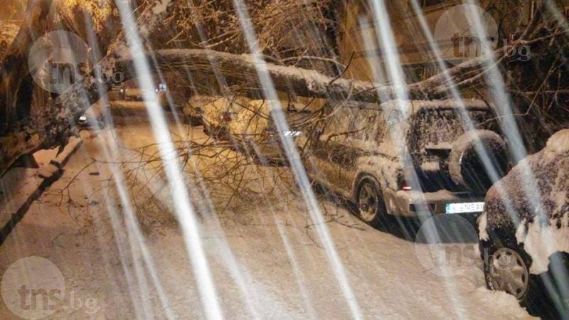 Ситуацията в Пловдив се влоши! Паднали дървета, блокирани улици и места без ток! (СНИМКИ)