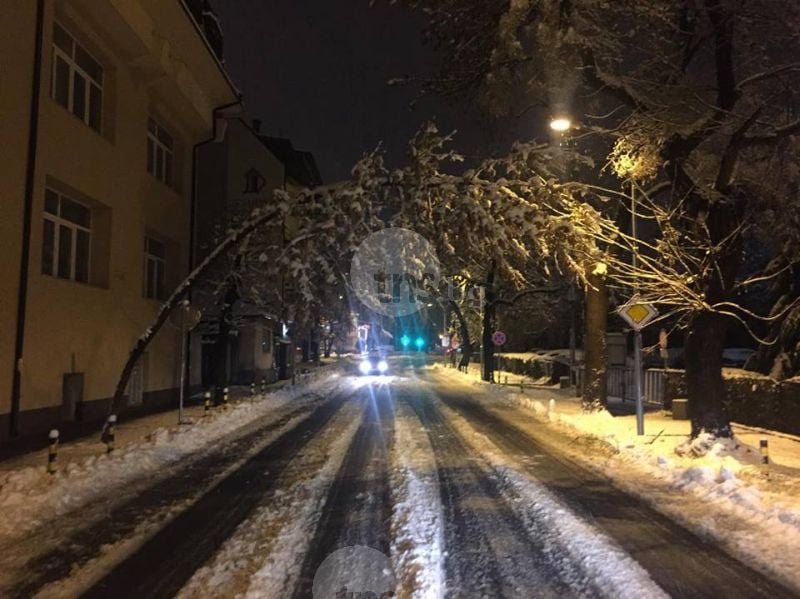 Ситуацията в Пловдив се влоши! Паднали дървета, блокирани улици и места без ток! (СНИМКИ)