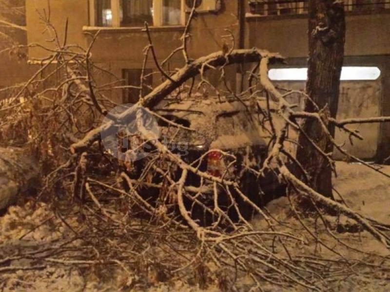 Ситуацията в Пловдив се влоши! Паднали дървета, блокирани улици и места без ток! (СНИМКИ)