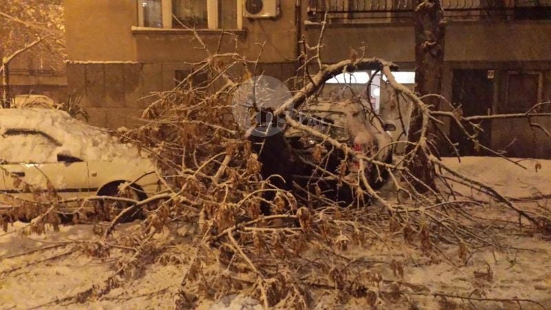 Ситуацията в Пловдив се влоши! Паднали дървета, блокирани улици и места без ток! (СНИМКИ)