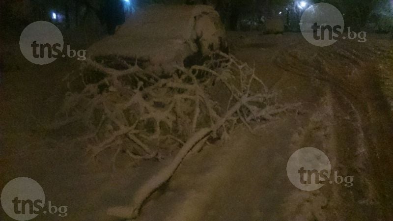 Ситуацията в Пловдив се влоши! Паднали дървета, блокирани улици и места без ток! (СНИМКИ)