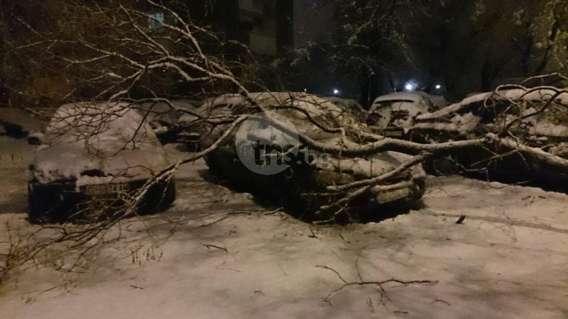 Ситуацията в Пловдив се влоши! Паднали дървета, блокирани улици и места без ток! (СНИМКИ)