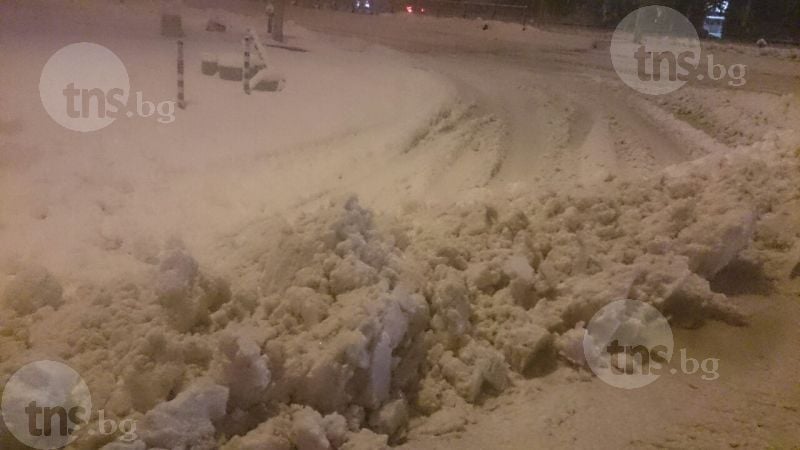 Ситуацията в Пловдив се влоши! Паднали дървета, блокирани улици и места без ток! (СНИМКИ)