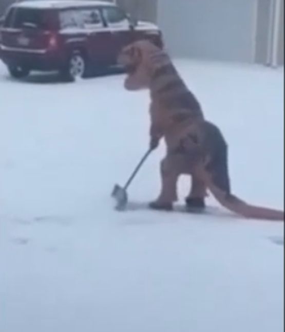 Динозавър рине сняг в квартал в Кентъки(ЩУРО ВИДЕО)