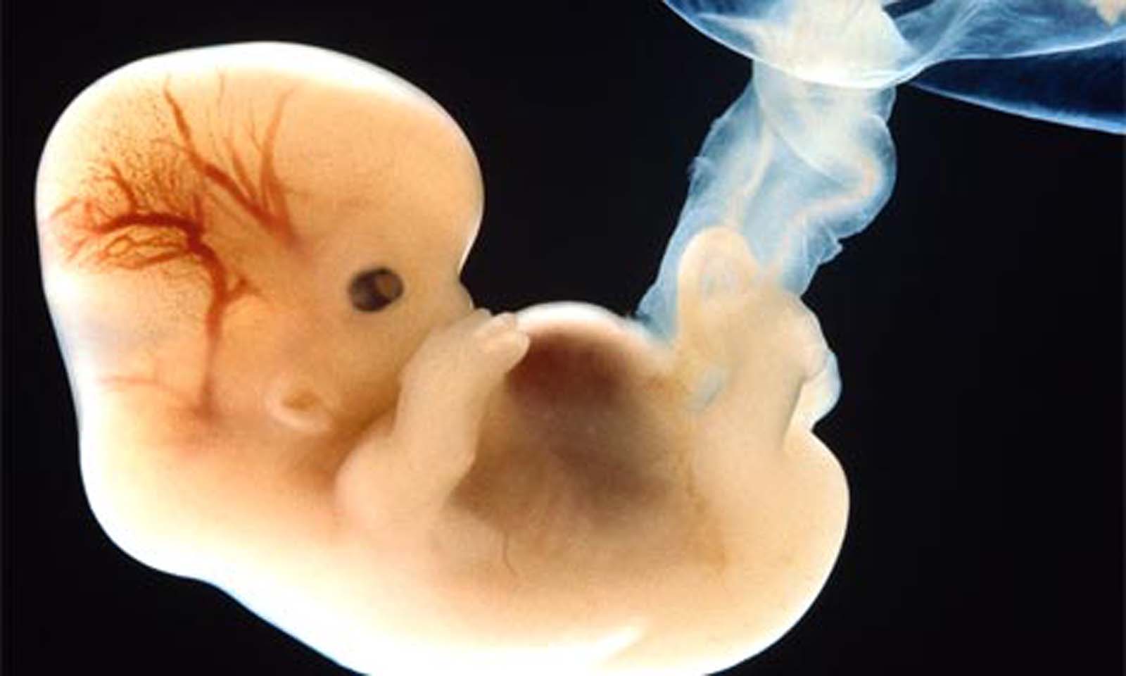 Нечувано! Разрешиха генното модифициране на човешки ембрион