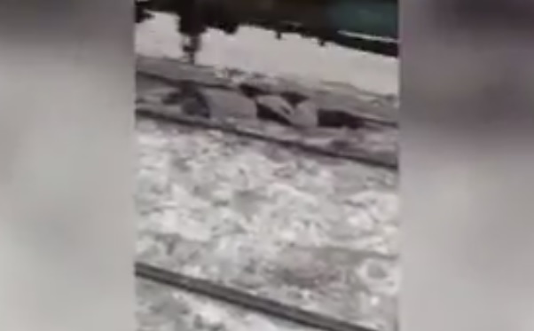 Очевидци заснеха гибелта на мъж под колелетата на влак (ВИДЕО 18+)