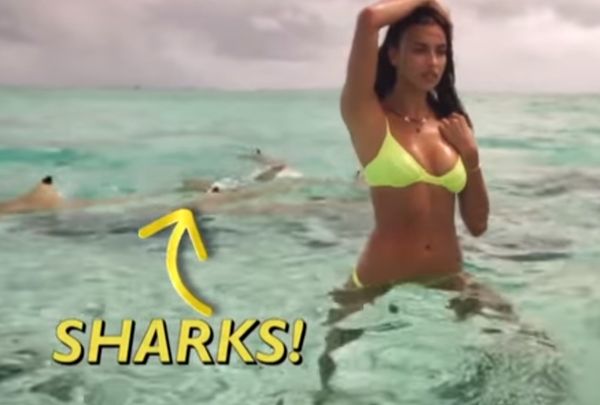 Акули за малко да разкъсат Ирина Шейк докато се снима по бански (ВИДЕО)
