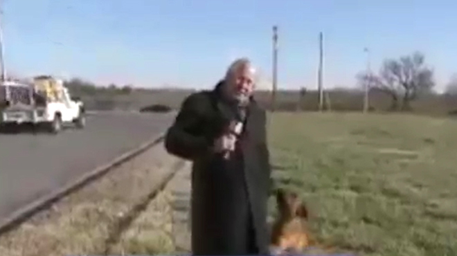 Улично куче провали прякото предаване на репортер (ВИДЕО)