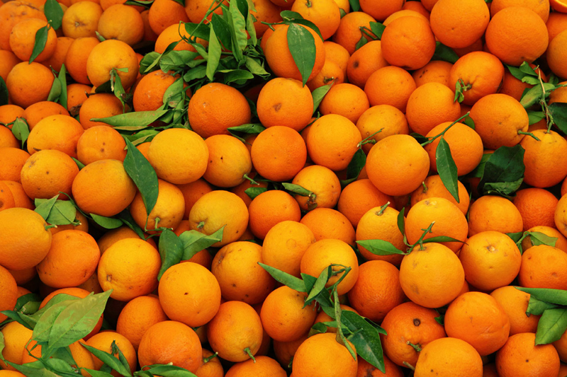 Връщаме на Гърция 19 тона опасни портокали 