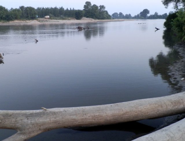 Зловеща гледка: Реката влачела удавената Мюрен, заплетена в клоните на дърво